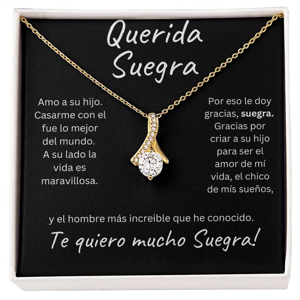 Regalo Para Mi Querida Suegra | Nuera