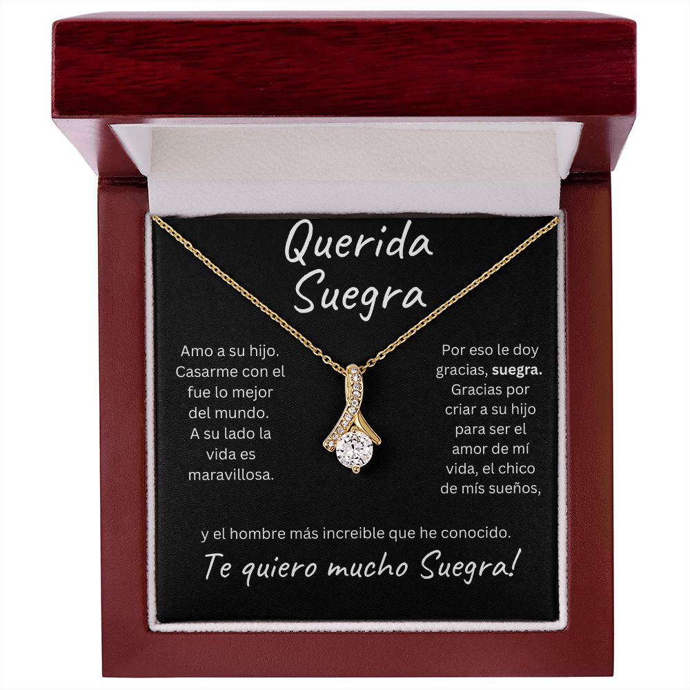 Regalo Para Mi Querida Suegra | Nuera